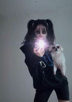 殺し屋が求める蝶