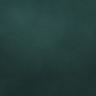 白瀬莉々花さんのアイコン画像