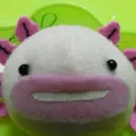 しずこさんのアイコン画像