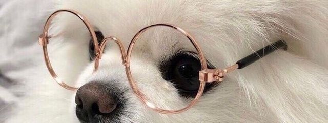 こやみさんさんの壁紙画像