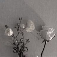 れさんのアイコン画像