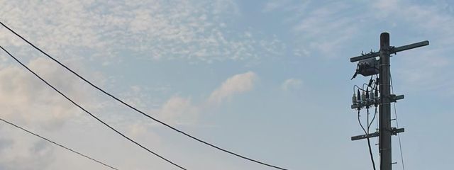 こあ🧸𓂃𓈒𓏸︎︎︎︎さんの壁紙画像