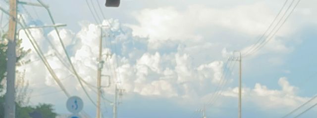 とりのひな。🐈🪽🫧さんの壁紙画像