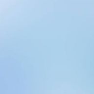 とりのひな。🐈🪽🫧さんのアイコン画像