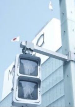 しょな　チャン　は　推し活　が　したい　！