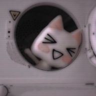 ⤿  うどんさんのアイコン画像