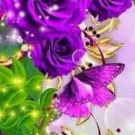 tabuchさんのアイコン画像