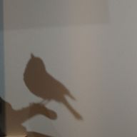 茅鶴 −ﾁﾂﾞﾙ−さんのアイコン画像