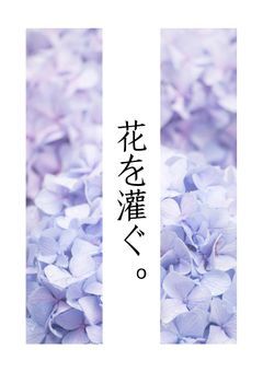 花を灌ぐ。