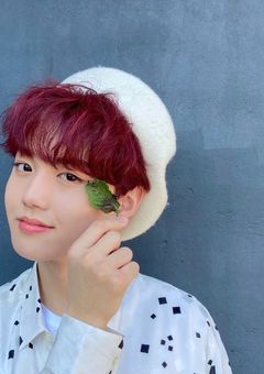 プリンスドヨンちゃんと愉快な仲間たち