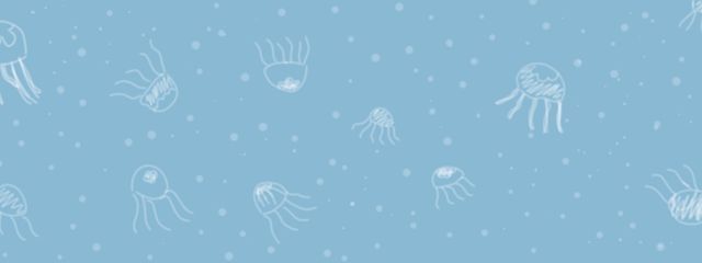 くらげさんの壁紙画像