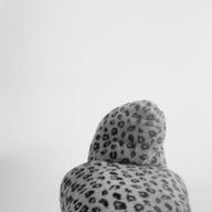 夏蓮さんのアイコン画像