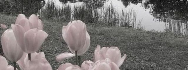 おちゃ ＠気分浮上さんの壁紙画像