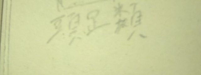 頭足類さんの壁紙画像