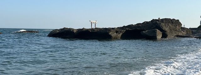 さくらさんの壁紙画像