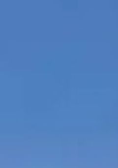  し ん ゆ う い ぞ ん し ょ う 【 葵寧々 】 