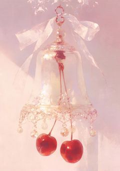 　𝙺𝚗𝚖𝚌￤咲いて 薫って 花嵐 .