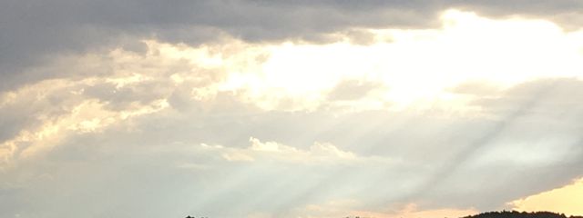 エルエナさんの壁紙画像