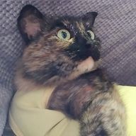 OtonekomaRu○さんのアイコン画像