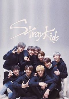 stray kids BL