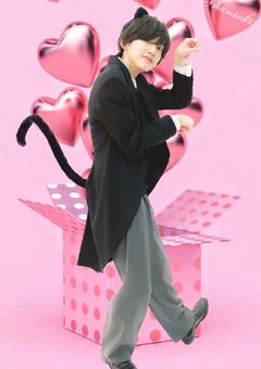 捨て猫
