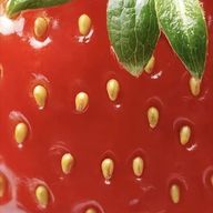 rioさんのアイコン画像