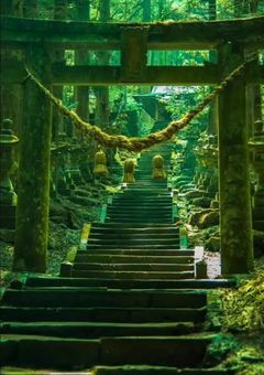 〘 孤歩 の 薙刀道場 〙