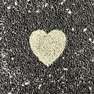 kameちゃんさんのアイコン画像