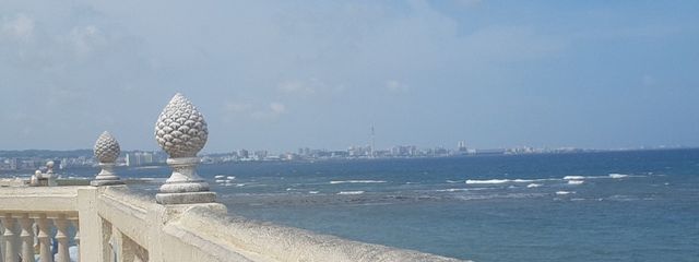 もっちりもっちりさんの壁紙画像