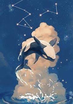 阿呆はいらん！！！