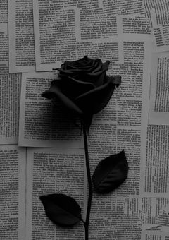 あなたしか、、。