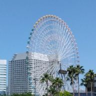 kktmi  shelleyさんのアイコン画像