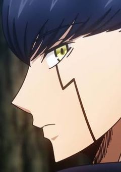 呪術師、魔法界に堕ちる