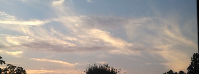 さるモンキー　　💙🐱💜さんの壁紙画像