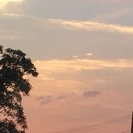 さるモンキー　　💙🐱💜さんのアイコン画像