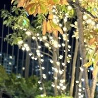 飛月さんのアイコン画像