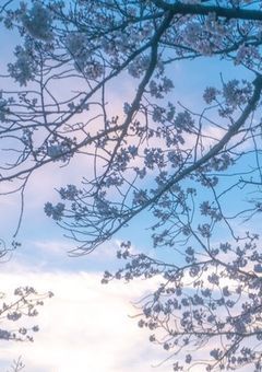 Ⅰ◀︎                      ▶︎                   ▶︎I