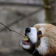 ãããðª¶ð»ããã®ã¢ã€ã³ã³ç»å