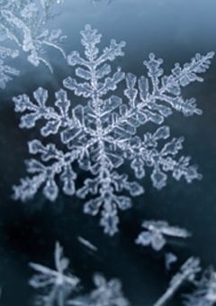キスマイ玉森裕太の妹はSnow Man