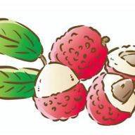 らいちさんのアイコン画像