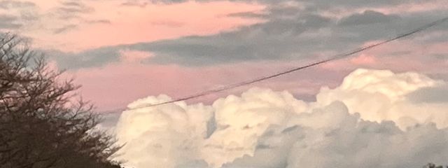 SAKIさんの壁紙画像