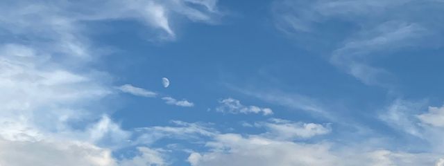 AOさんの壁紙画像