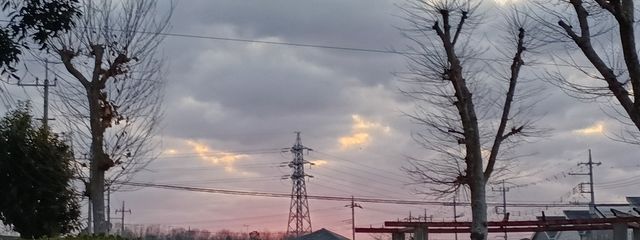 ・ω・さんの壁紙画像