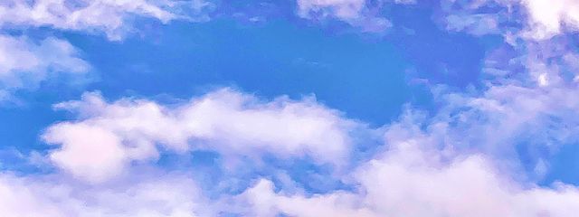 転生しました。さんの壁紙画像