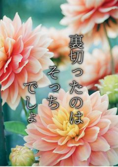 裏切ったのは そっち でしょ