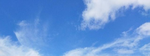 しゅーりさんの壁紙画像