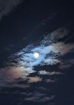 綺麗な君には言えない事