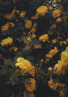 私の隣にはいつも