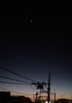 障害ふぁみりー。