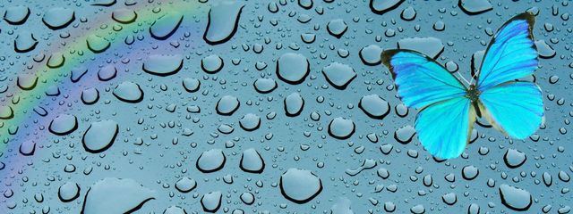 涙雨さんの壁紙画像